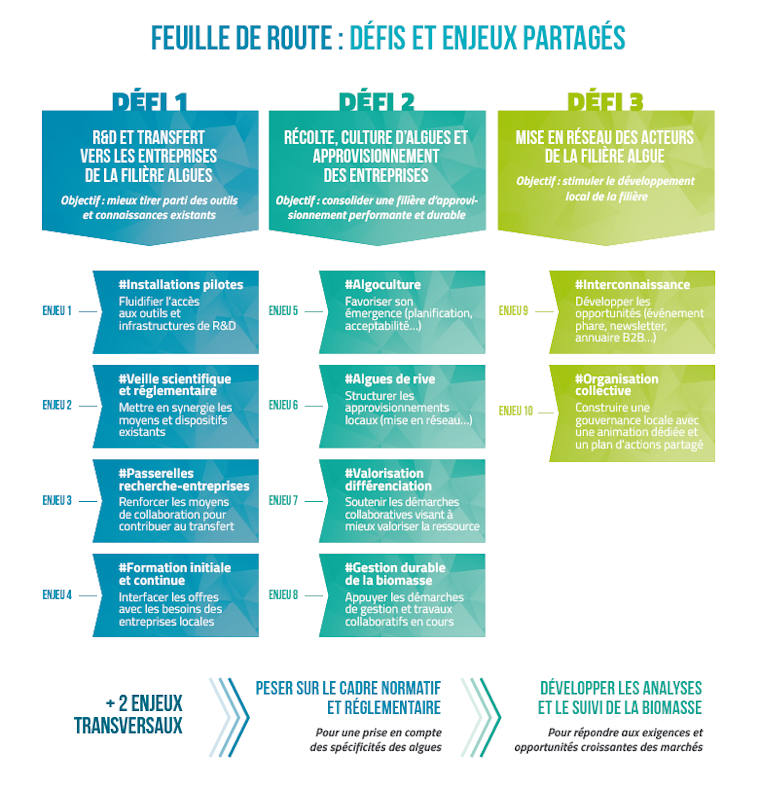 Feuille de route Cluster algues