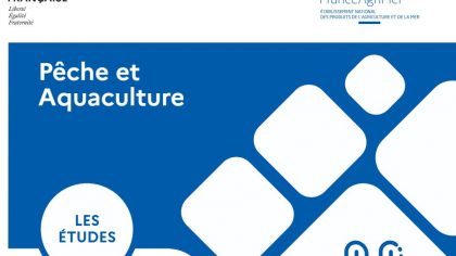 L'étude Macro algues de France Agrimer est disponible