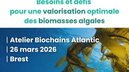 Participez à notre atelier pour identifier les besoins et les défis pour la valorisation des algues