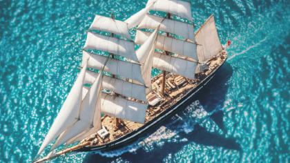 Le Cluster Algues Bretagne sera au festival maritime Lorient Océans