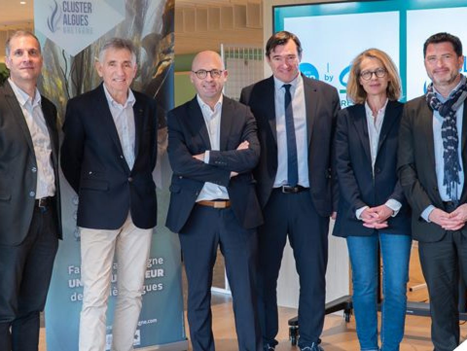 Le Crédit Agricole Bretagne adhère au Cluster Algues