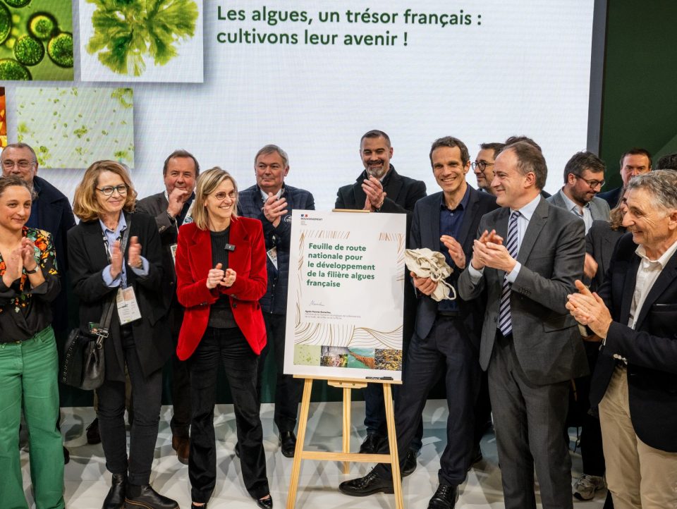 Signature Feuille de route algues nationale 