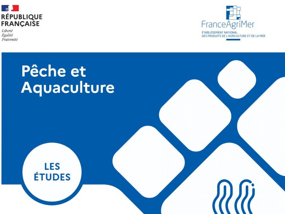 L'étude Macro algues de France Agrimer est disponible