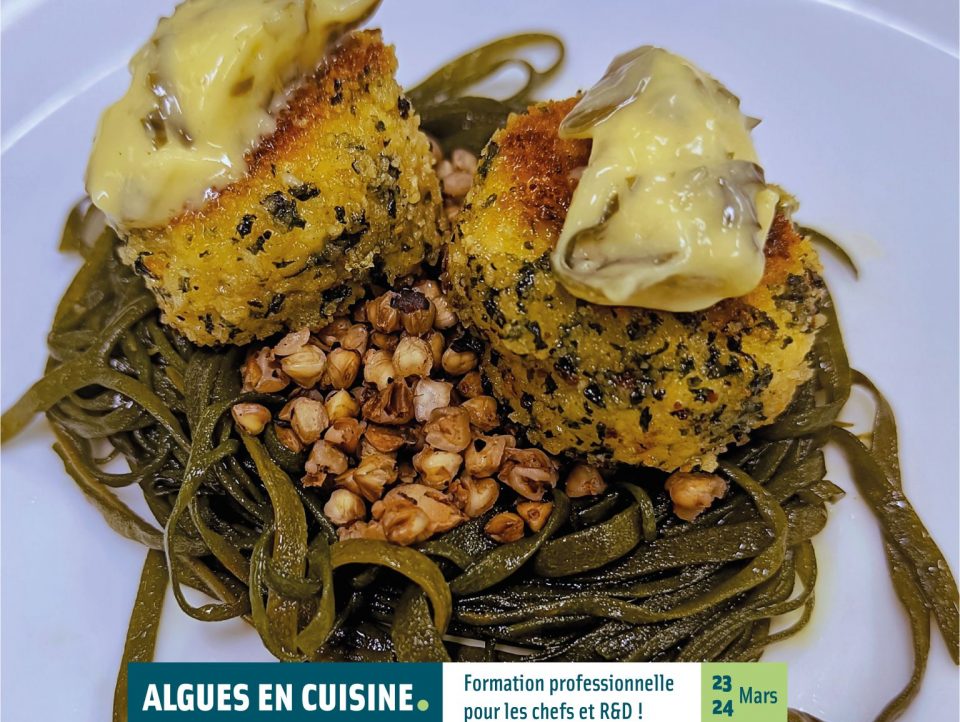 Apprenez à cuisiner les algues lors d'une formation professionnelle les 23 et 24 mars