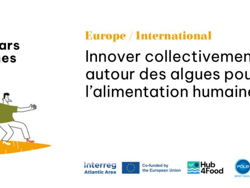 Quels procédés et produits innovants à base de micro et macroalgue dans l'alimentation ?