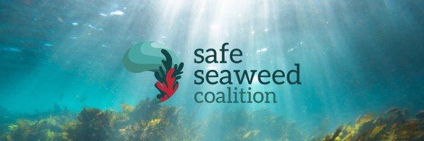 Lancement de la Safe Seaweed Coalition