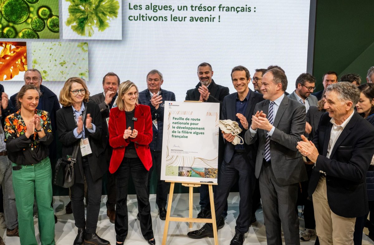 Signature Feuille de route algues nationale 