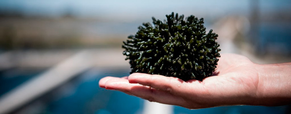 Symposium final du projet Integrate sur l'AMTI