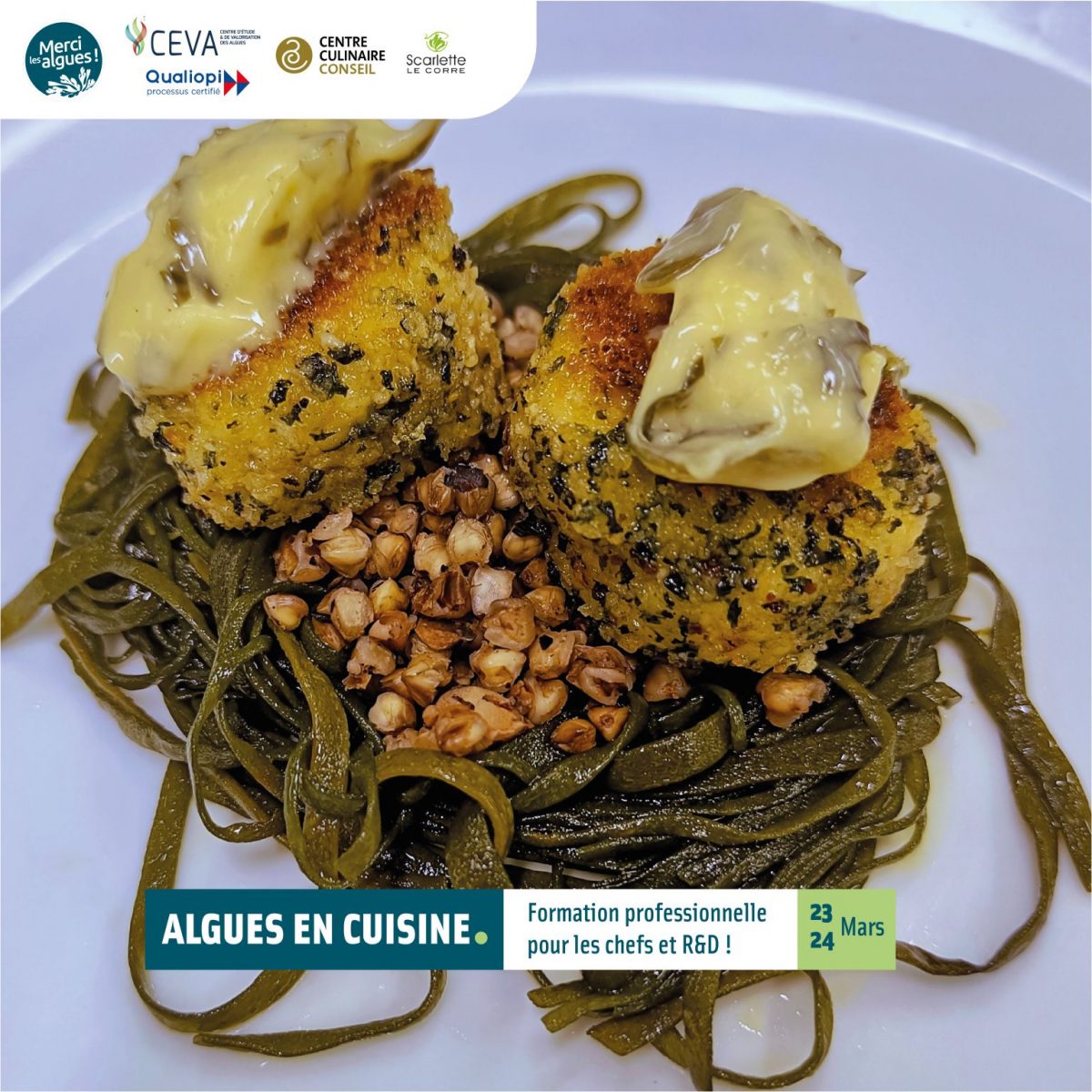 Formation professionnelle : apprenez à cuisiner les algues