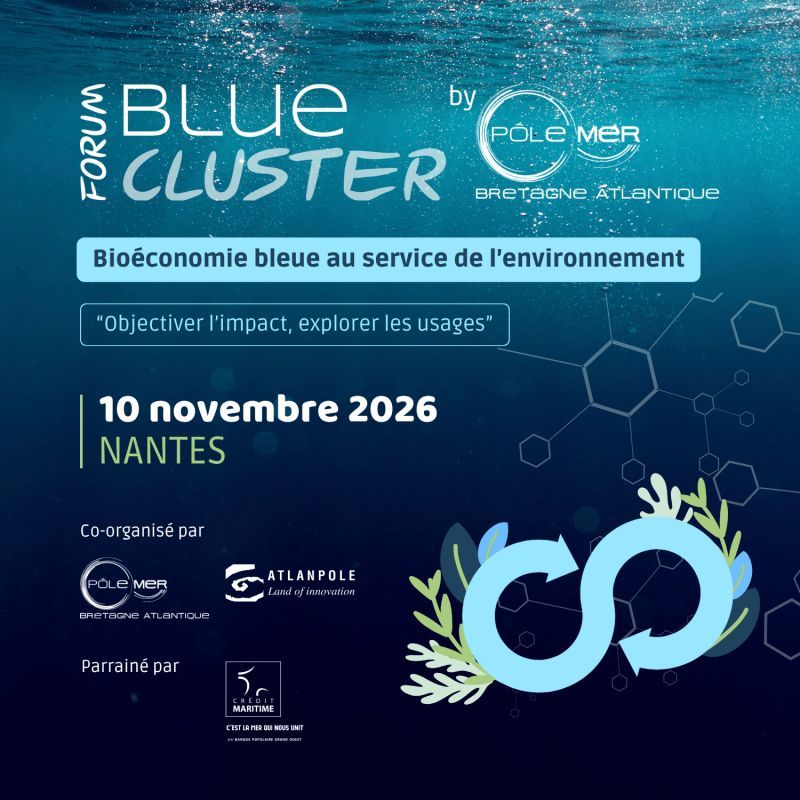 Forum Blue Cluster 2026